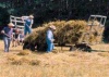 Harvest Fest