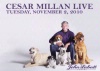 Cesar Millan Live