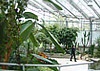City of London Greenhouse and Civic Garden Complex