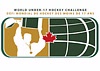 2008 World Under 17 Hockey Challenge