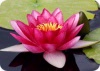 Meditation Course for Inner Peace