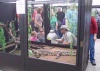 Little Ray's Reptile Zoo