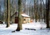 Kinsmen Fanshawe Sugar Bush
