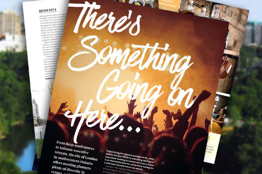 cover of article