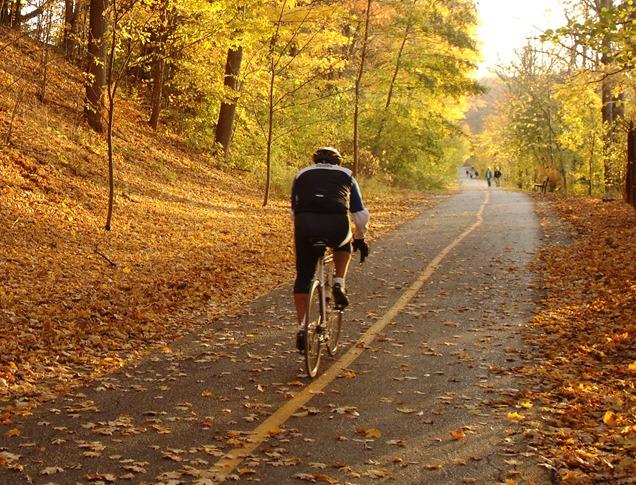 A male cycling on a path in Springbank Park in the fall located in London, Ontario