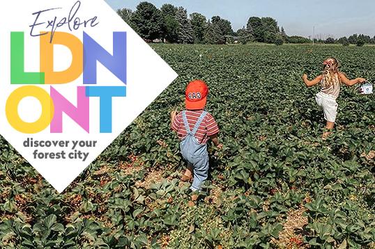 Day Tripping in London, Ontario