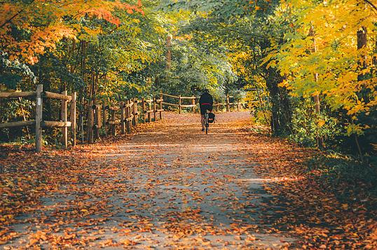 Fall in Love with Fall in London, Ontario