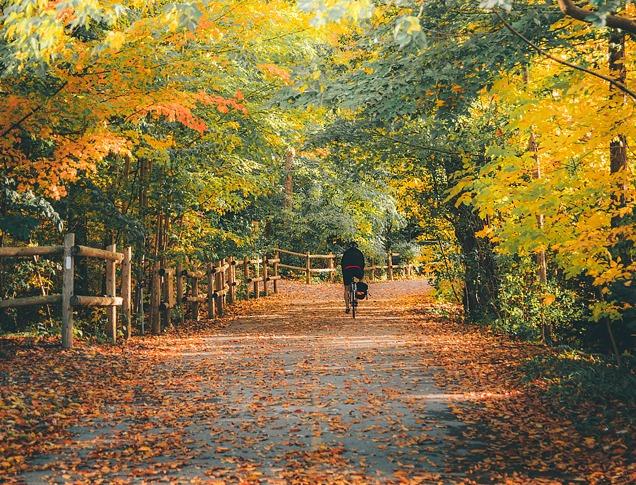 A person riding their bike in Springbank Park, in London, Ontario, Canada, surrounded by trees and leaves in the fall