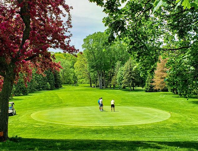 Three golfers golfing at East Park Golf Gardens on a bright summer day