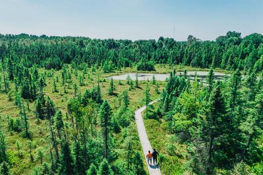 Five Hikes in London, Ontario to keep you active this Fall!