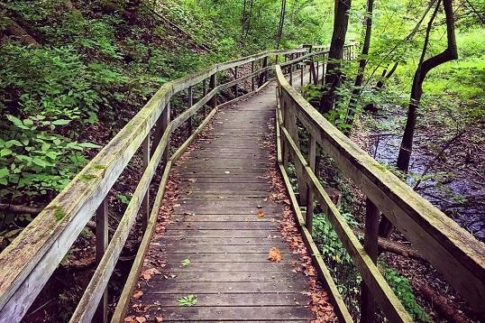 Outdoor Hiking Trails in London, Ontario – Longwoods Road Conservation Area