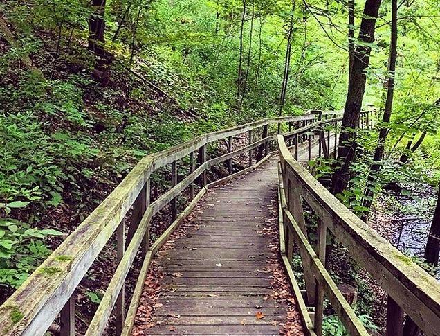 Wooden bridge pathway in Longwoods Road Conservation Area