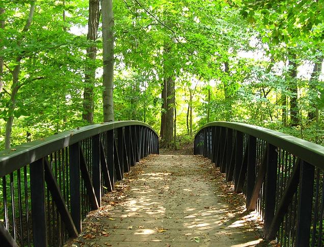 The Meadowlily Bridge, circa 1910, a wooden bridge pathway found in Meadowlily Woods, London, Ontario