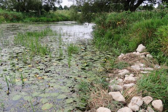 Outdoor Hiking Trails in London, Ontario – Medway Valley Heritage Forest