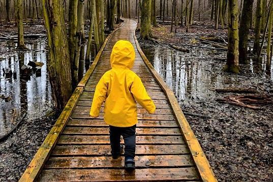 Outdoor Hiking Trails in London, Ontario – Sifton Bog
