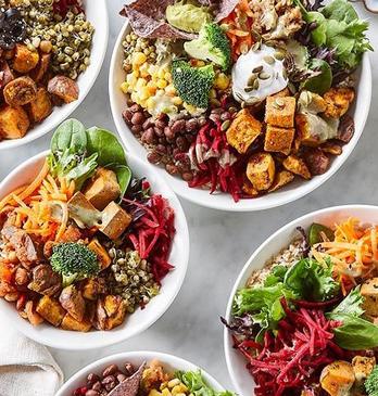 Various vegan based dishes presented in bowls on a marble table top