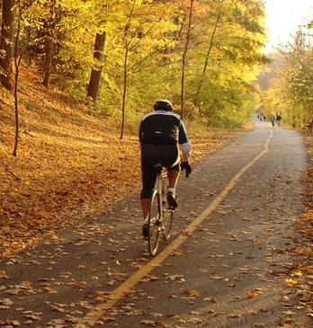 A male cycling on a path in Springbank Park in the fall located in London, Ontario