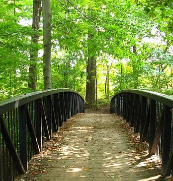 The Meadowlily Bridge, circa 1910, a wooden bridge pathway found in Meadowlily Woods, London, Ontario