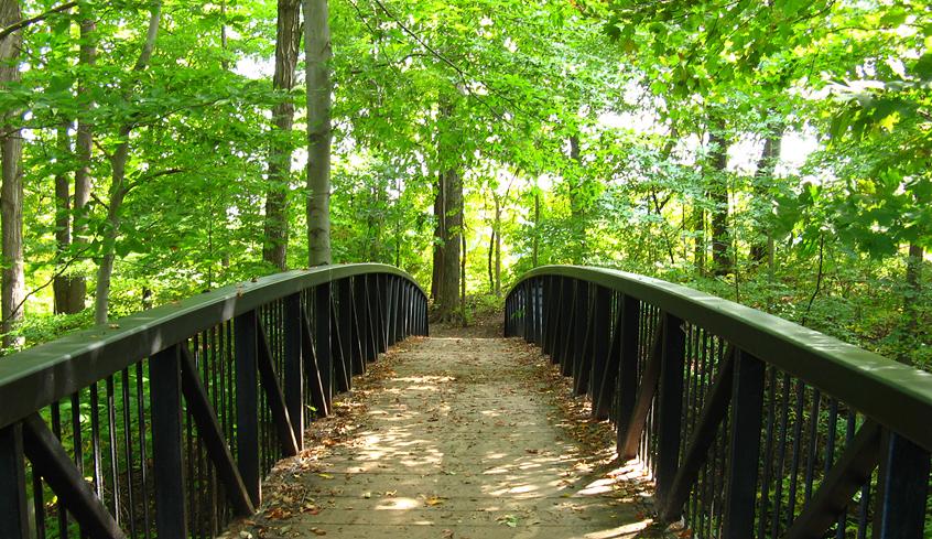 Outdoor Hiking Trails in London, Ontario – Meadowlily Woods