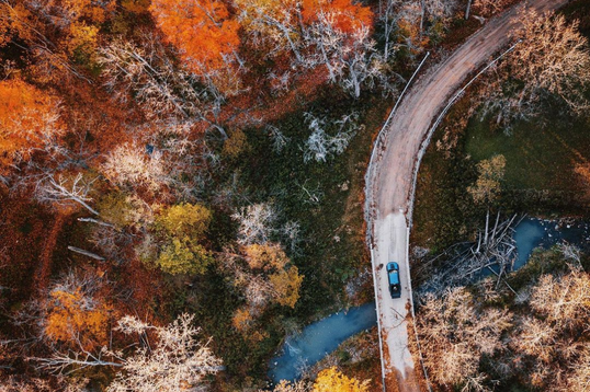 Fall Road Tripping in the Forest City