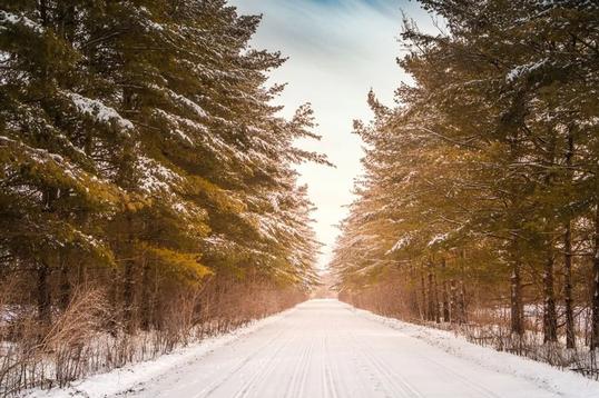 Winter Road Tripping in the Forest City