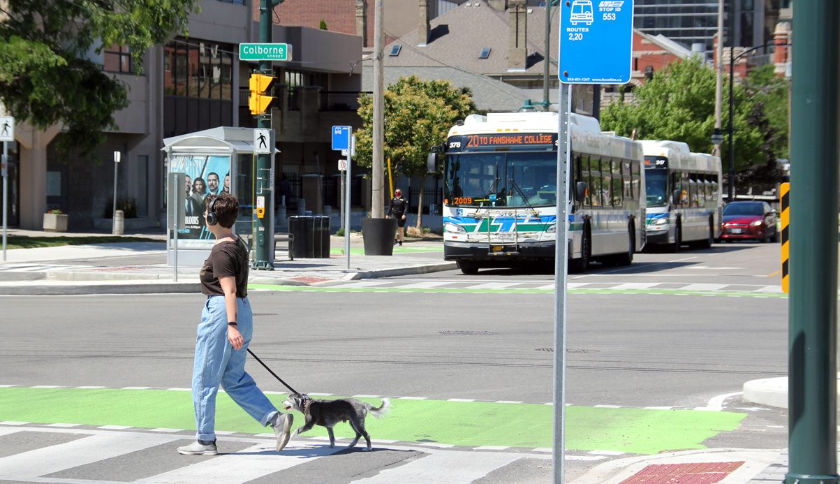 person crossing a street walking a dog