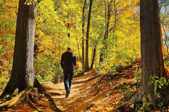 A male walking along a path in a forest located in London, Ontario