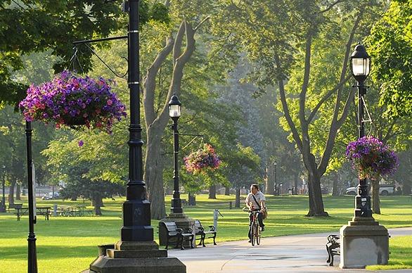 A male cycling on a paved path in Victoria Park located in London, Ontario