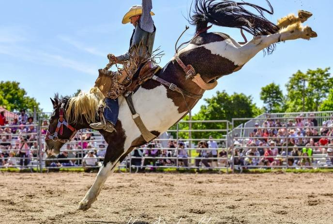 Person riding a wild horse that is bucking, in front of an audience.