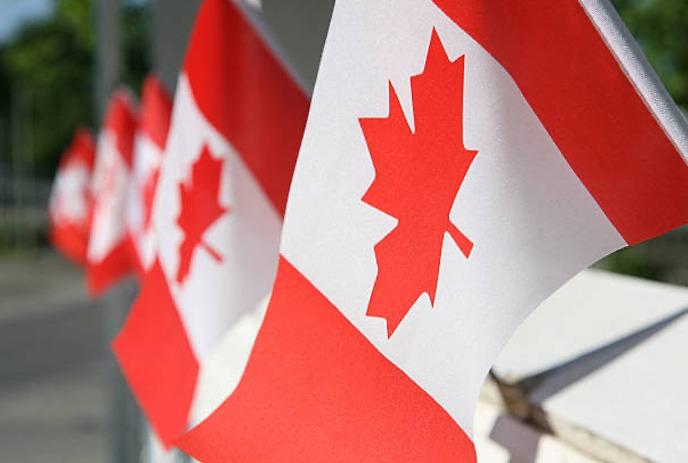 A group of handheld Canadian flags in a row