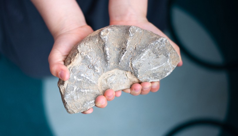 Collection Spotlight - Gorgeous Geodes