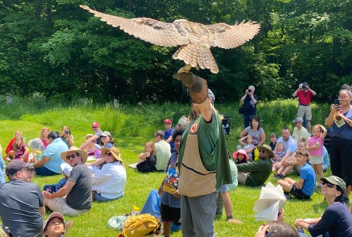 A falconer displays a large hawk with outstretched wings to an attentive crowd sitting on grass in a sunny park.