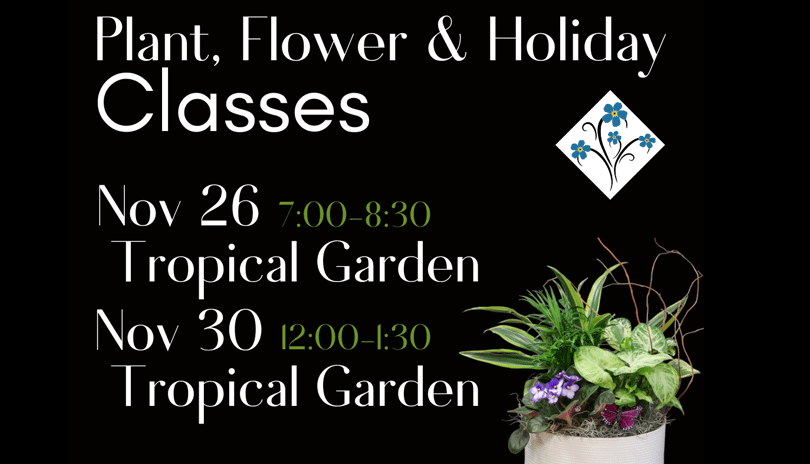 Plant, Flower & Holiday Classes - Nov. 30