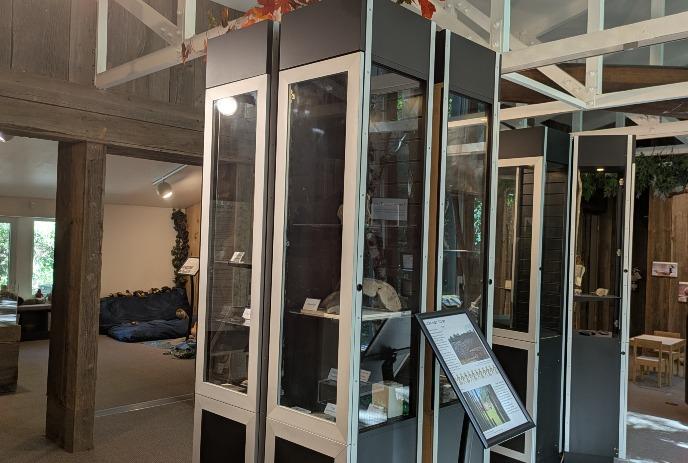 Interior view of the Ska-Nah-Doht Museum featuring display shelves showcasing Indigenous artifacts.