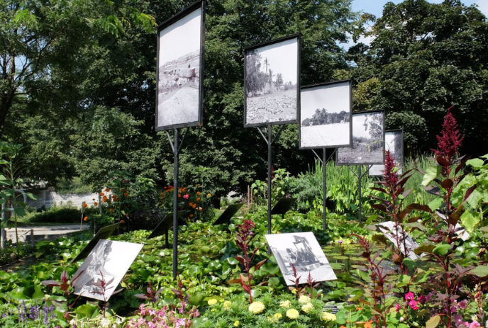 A number of different plants with plaques explaining their purpose.