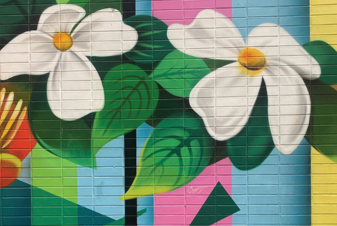 Mural of flowers on a brightly painted background.