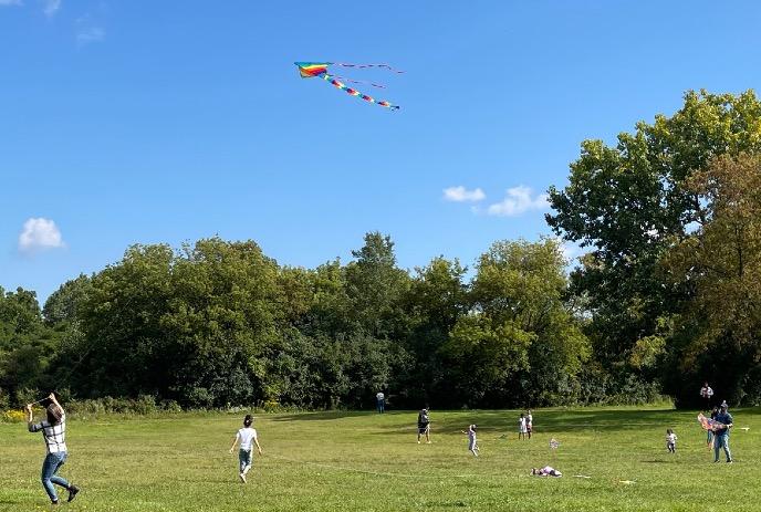 Kids playing with kites in a field on a sunny day.