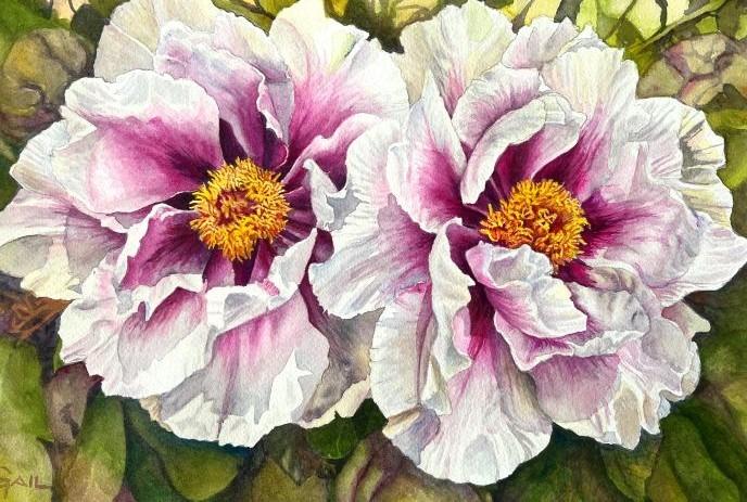 Two large peony blooms with white and soft pink petals surround golden centers, painted in a delicate watercolor style.