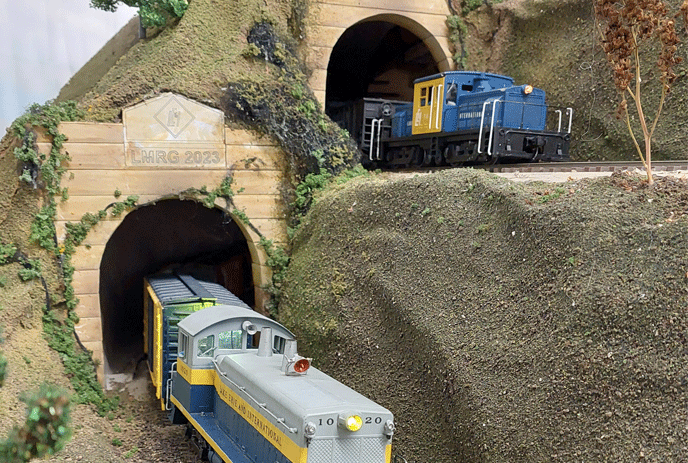 Model trains passing through a tunnel with grass and tracks visible.