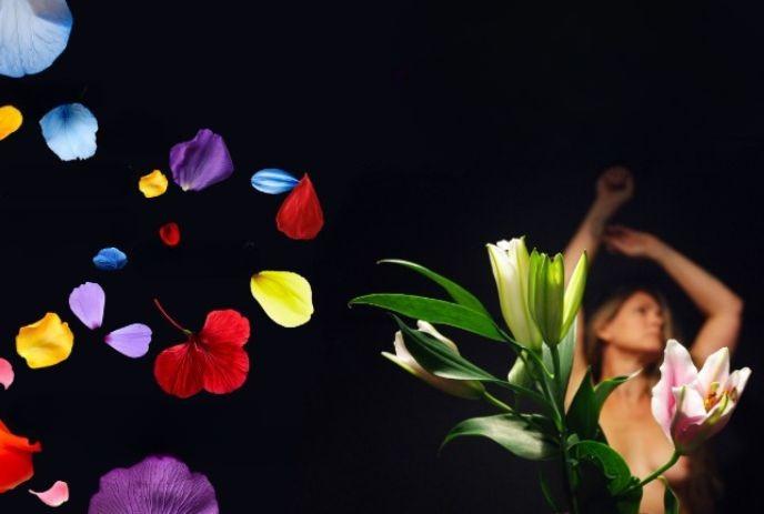 A person with raised arms stands beside a lily plant, surrounded by colorful floating petals on a dark background.