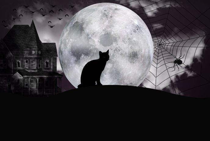 Silhouette of a black cat sitting on a hill, gazing at a large full moon behind a haunted house.