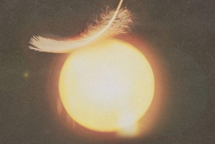 A feather on top of the sun.