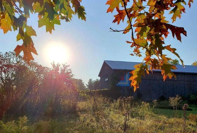 Sunlight bathes a rustic barn and meadow as autumn leaves frame the sky, creating a warm, tranquil country view.