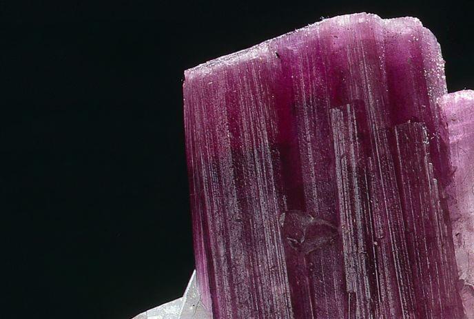 Pink-red tourmaline crystal with striations glows against black background.