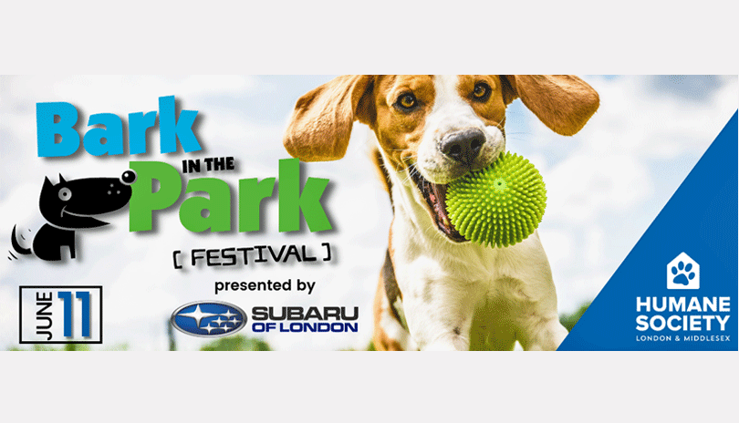 Bark in the Park Festival presented by Subaru of London