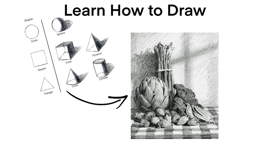 Beginners Drawing Art Class