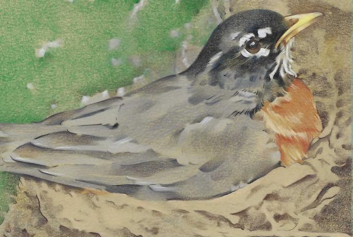 Painting of a robin with orange breast resting in a twig nest against soft green foliage background.
