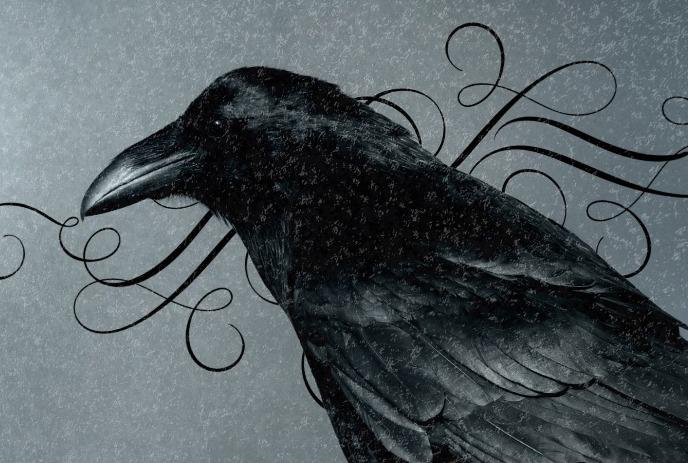 Black raven perches on branch; swirling black lines and gray backdrop evoke mystery and elegance.
