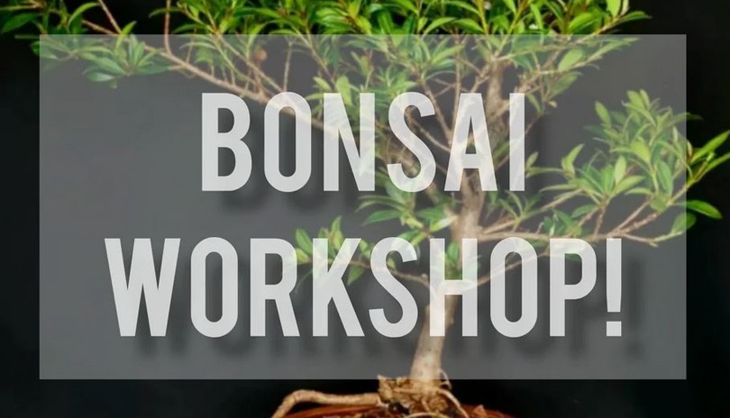 Beginner Bonsai Workshop
