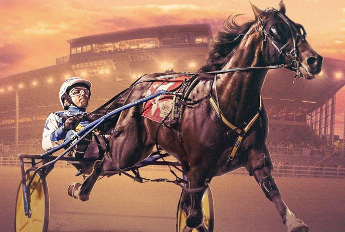 A crowd watches a harness race at a racetrack with a starting gate vehicle and horses.